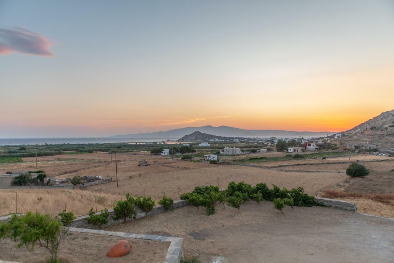 Naxian Pearl Apartment Mikri Vigla Exterior photo